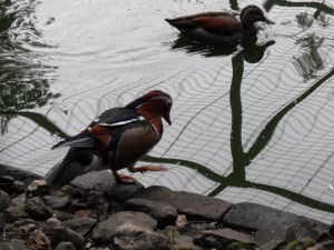 proof that space-time is curved