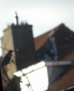 shadow opens the gate