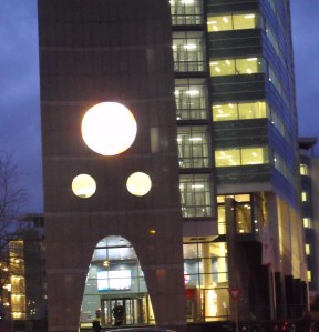 this is not an oak tree