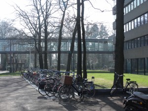 what do you do when it rains