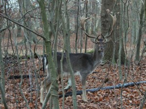 I look at you you look at me