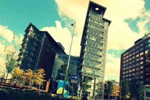 trucking trees to the city