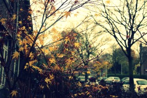 the world we've left