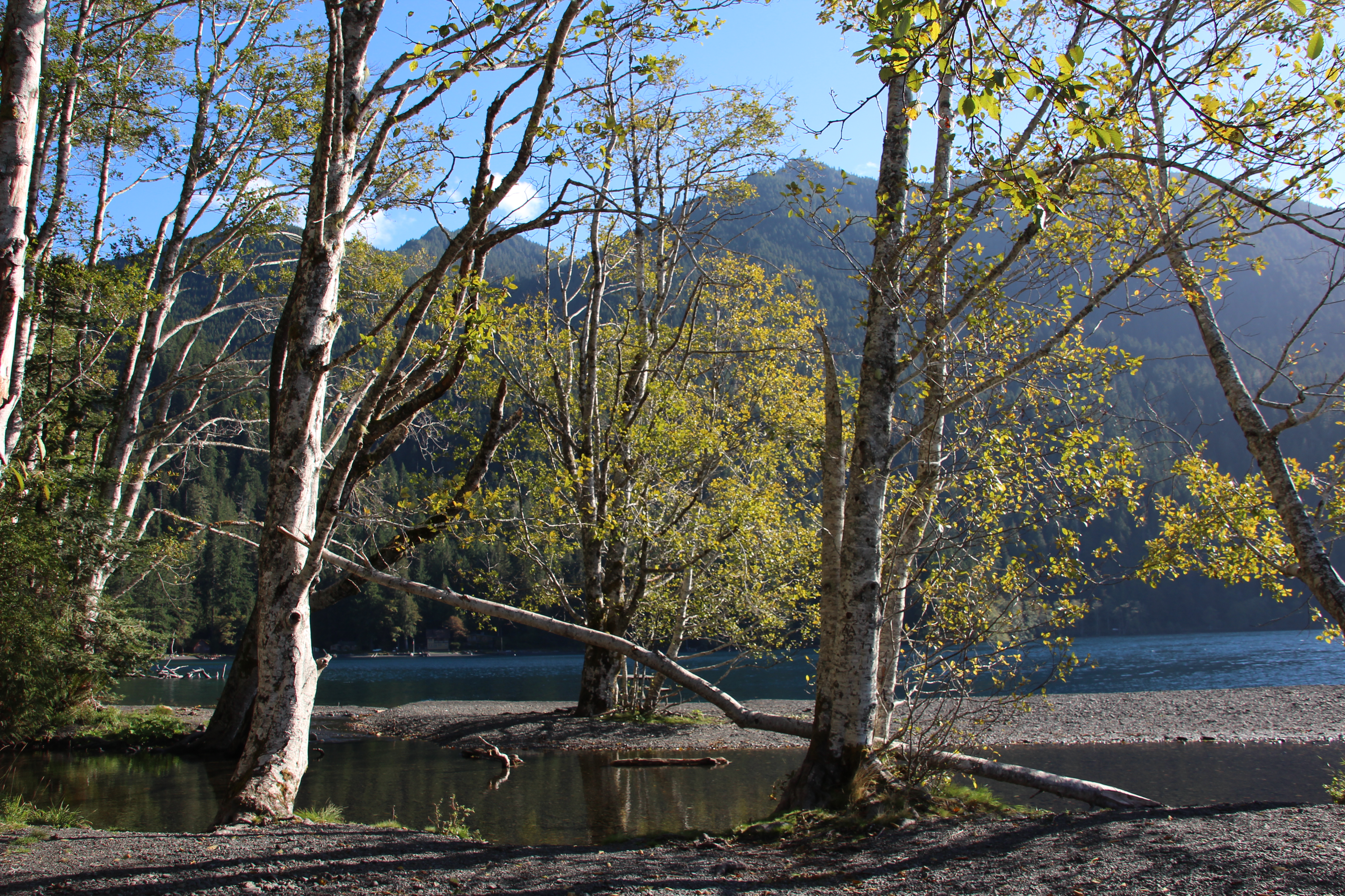 once-more-to-the-lake