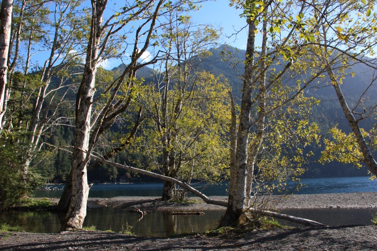 once-more-to-the-lake