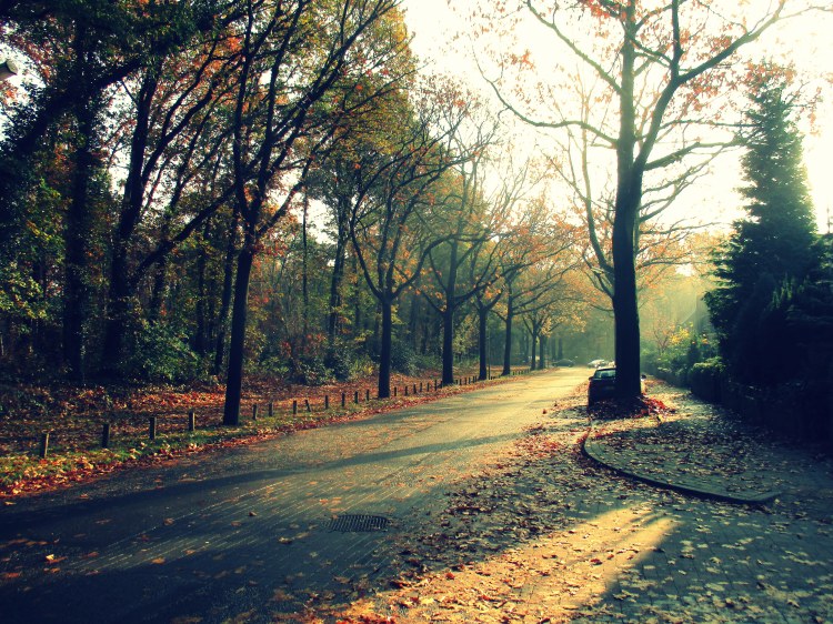 he-courts-the-autumnal-mood