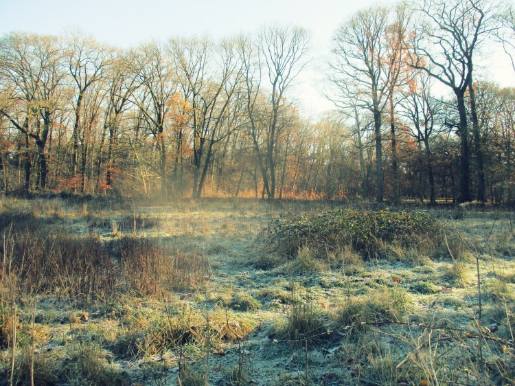 nijmegen-city-limits