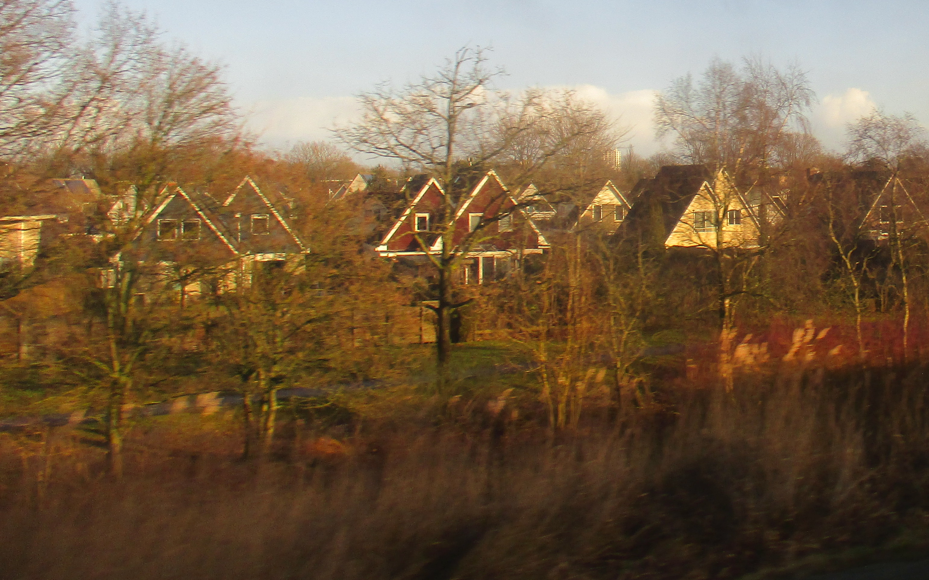 coming-home