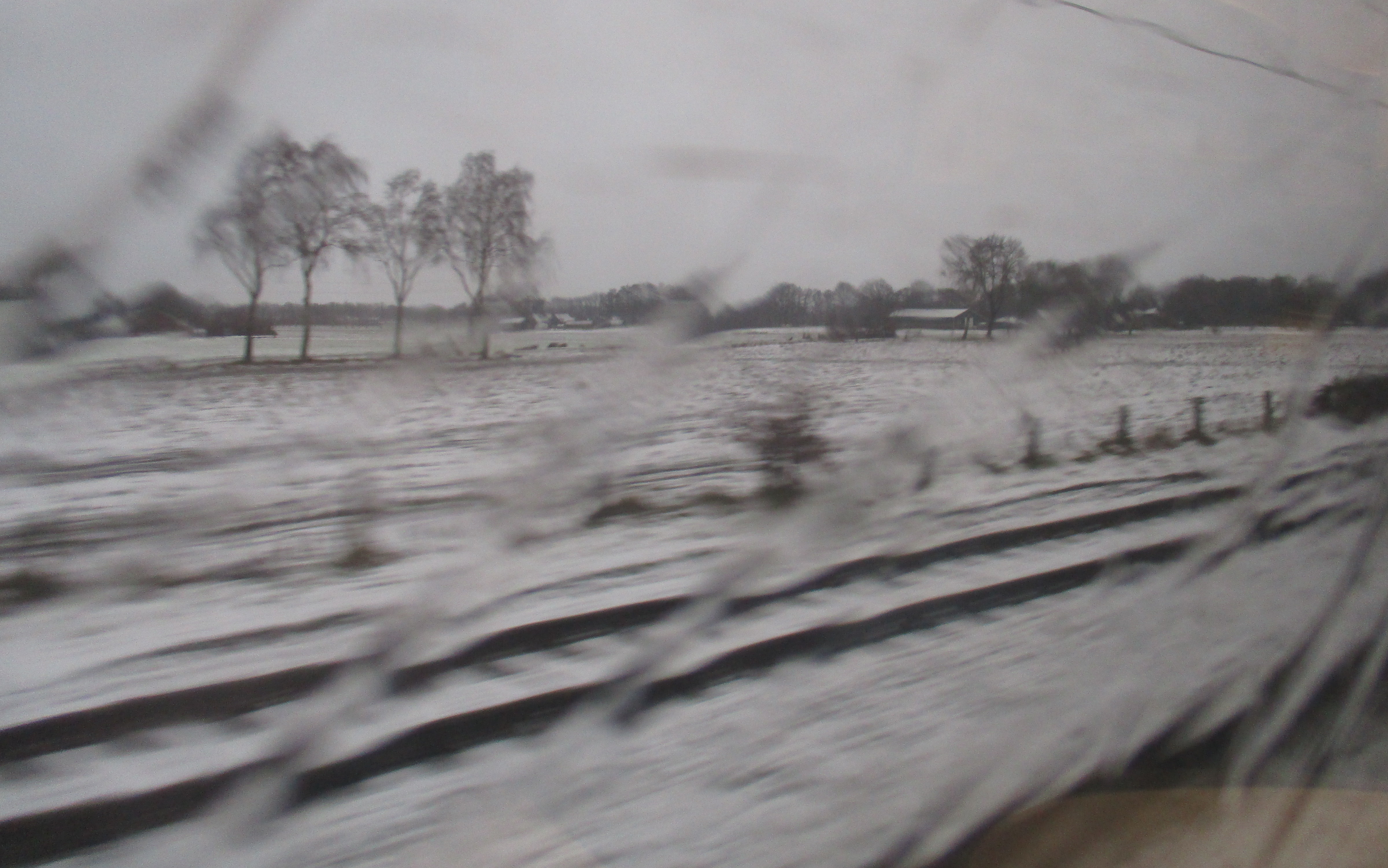 train-to-leeuwarden