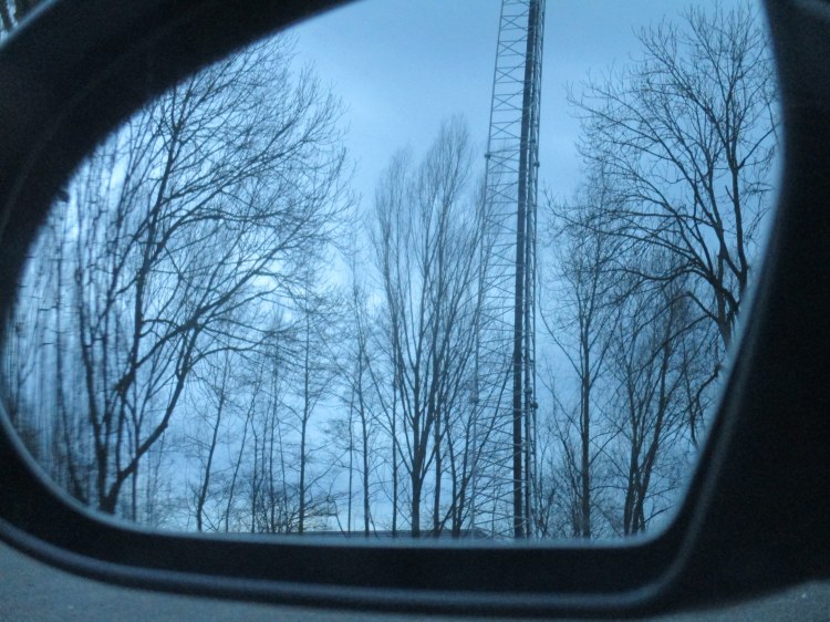 rear view winter trees
