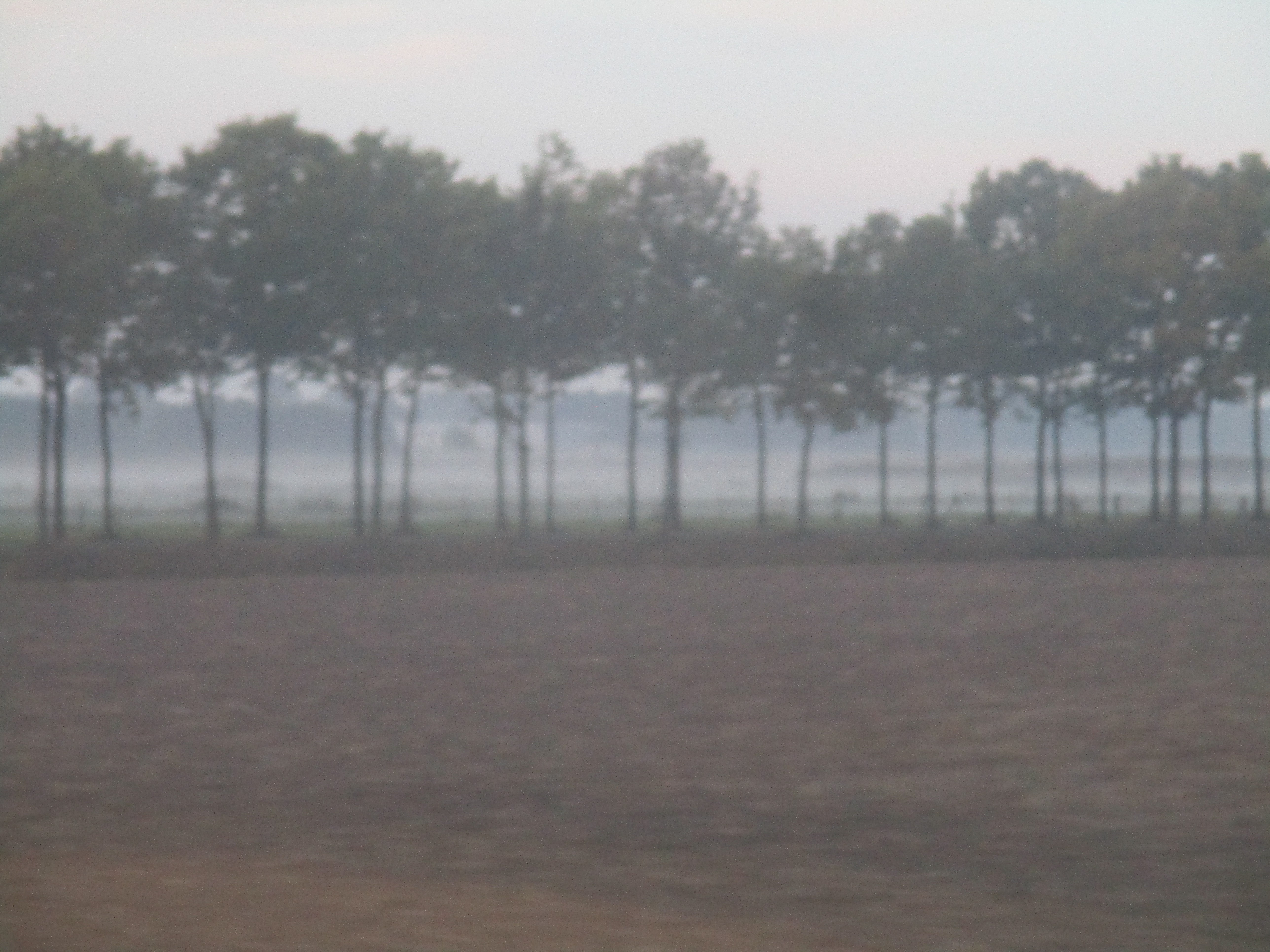 between Arnhem and Nijmegen