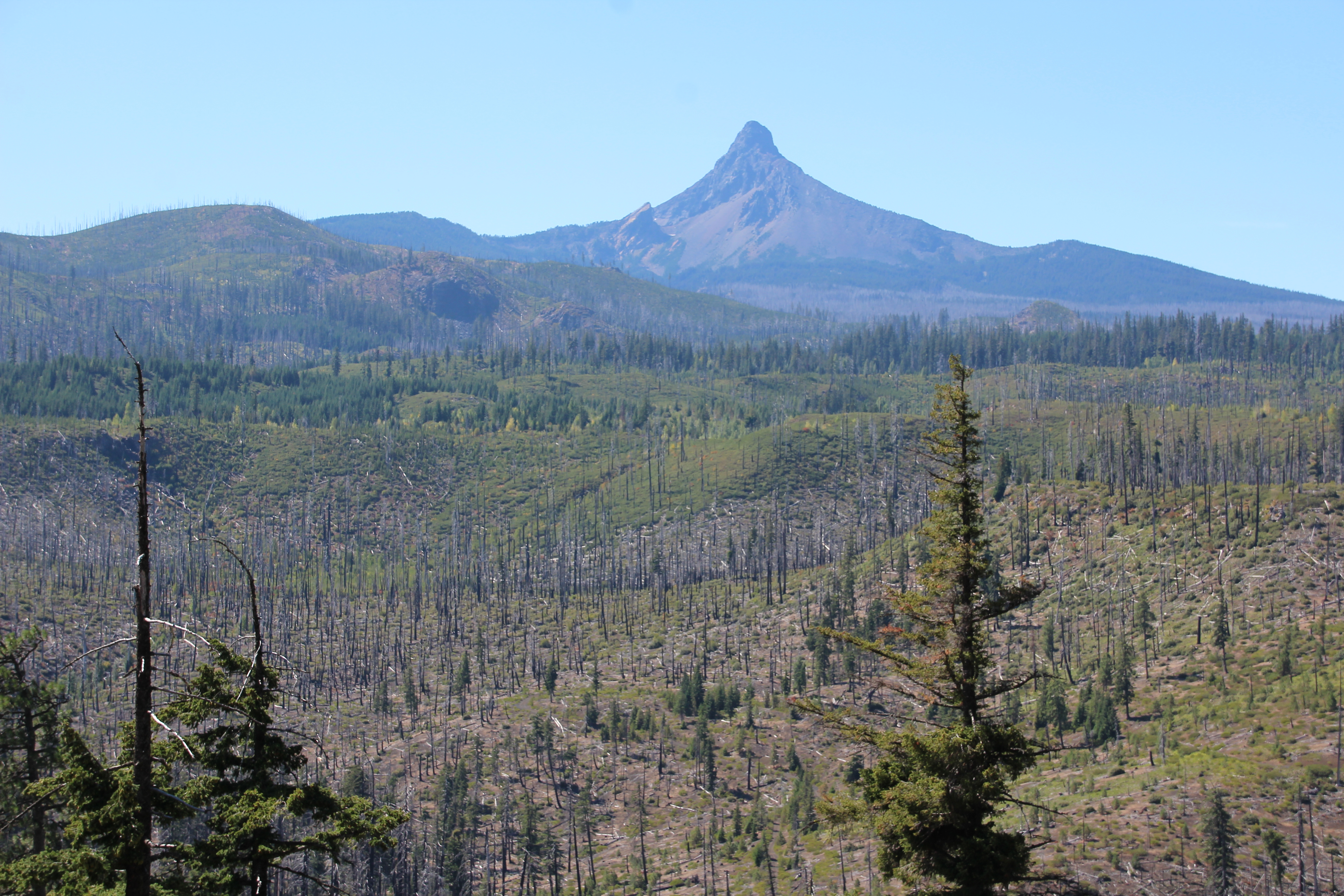 blue scorched Oregon