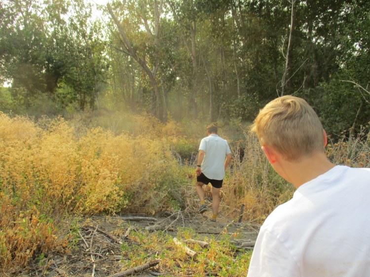 last shot of the summer