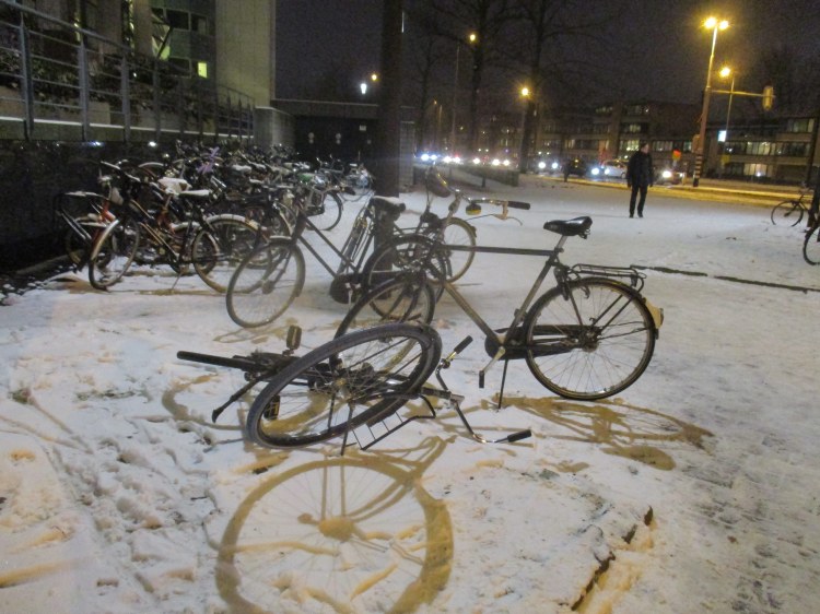 winter bikes of utrecht