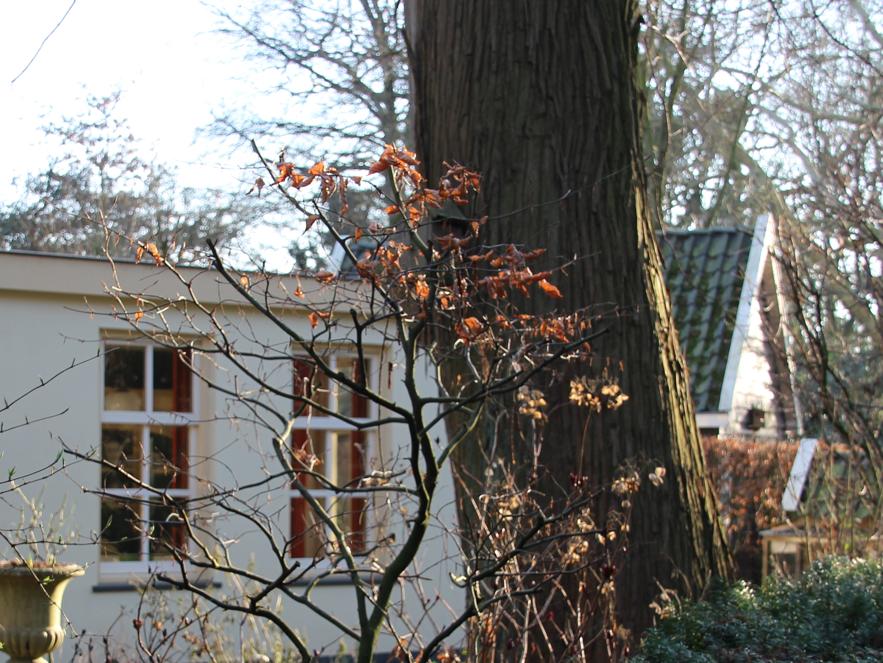 fall in winter turning to spring