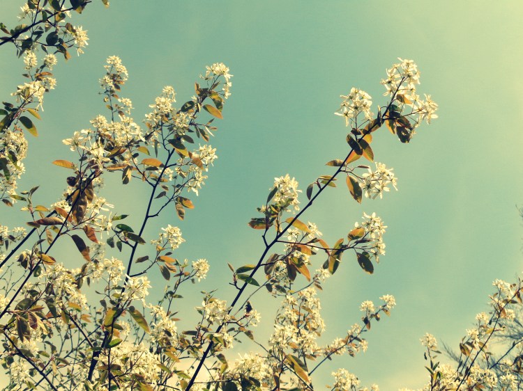 where we've never been