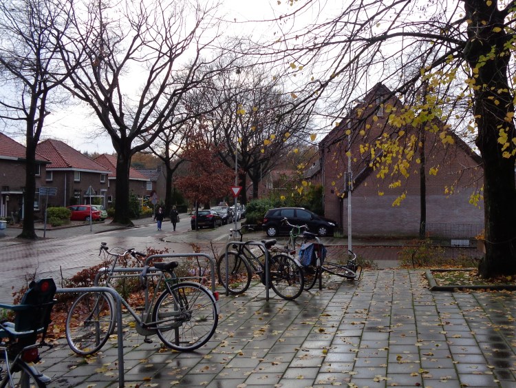 bikes at the cloister