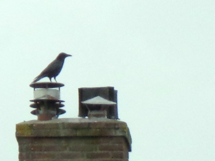 one must cover one's tracks