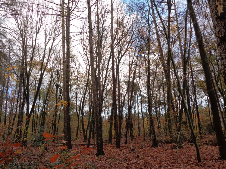 are they answers or questions