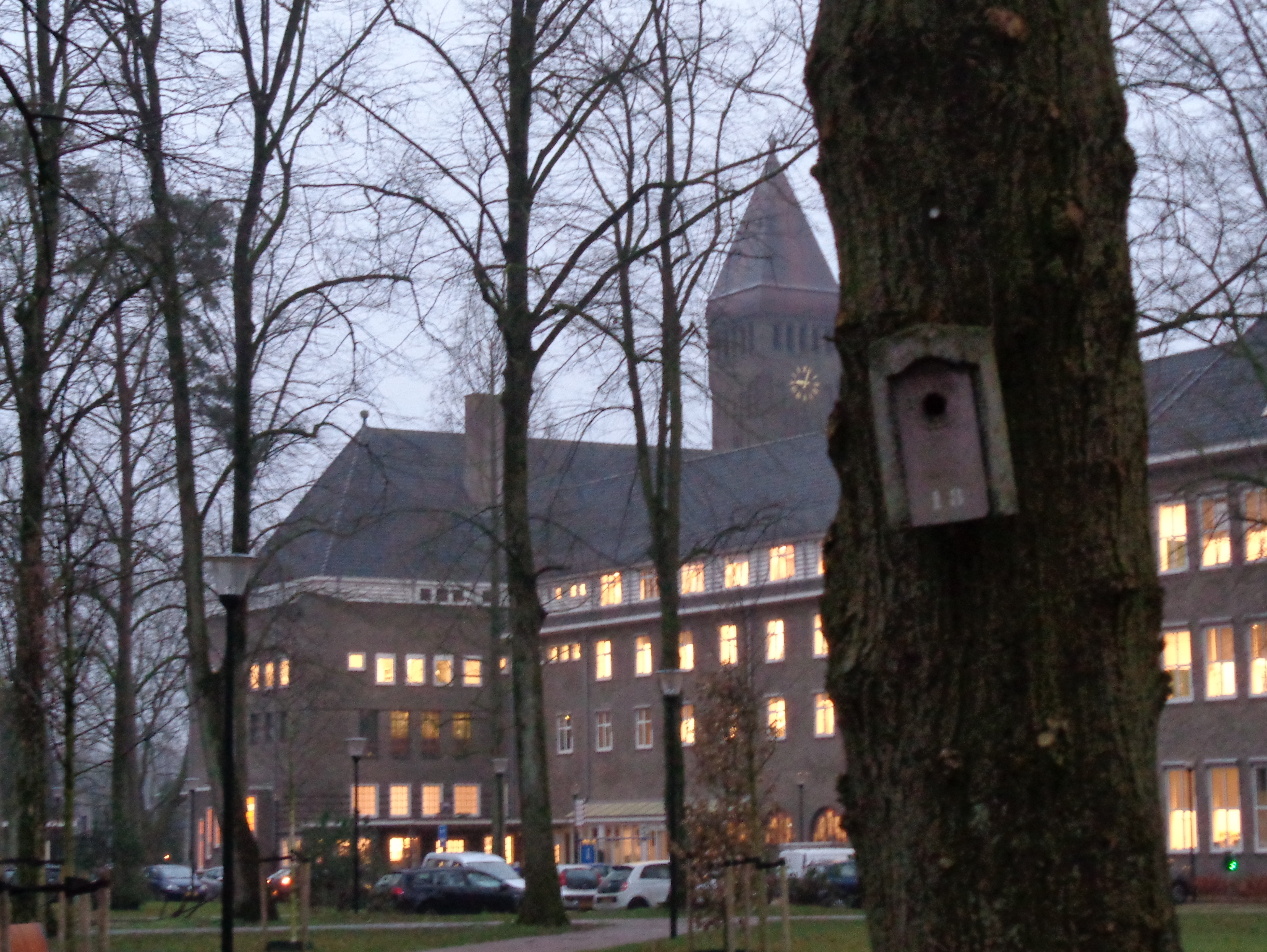 birdhouse at the Berchmanianum